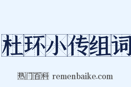 杜环小传组词是什么意思的图片